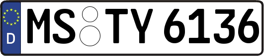 MS-TY6136