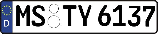 MS-TY6137