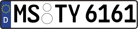 MS-TY6161