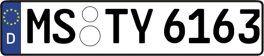 MS-TY6163