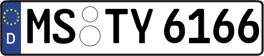 MS-TY6166