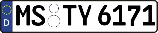 MS-TY6171