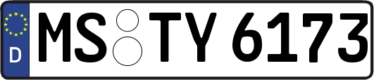 MS-TY6173