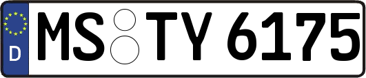 MS-TY6175