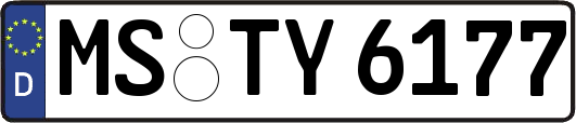 MS-TY6177