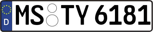 MS-TY6181