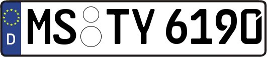 MS-TY6190