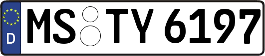 MS-TY6197