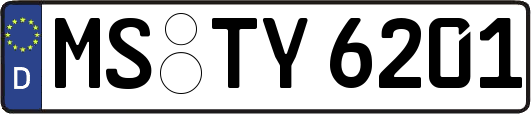 MS-TY6201