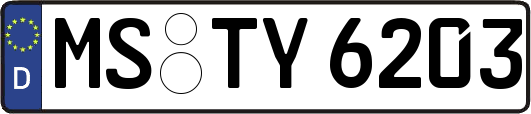MS-TY6203