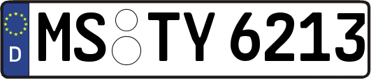 MS-TY6213