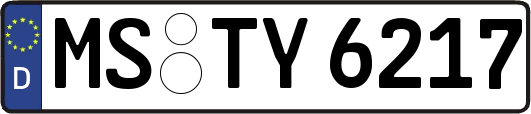 MS-TY6217