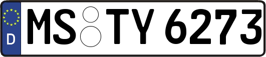 MS-TY6273