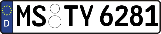 MS-TY6281