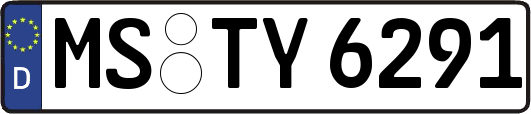 MS-TY6291