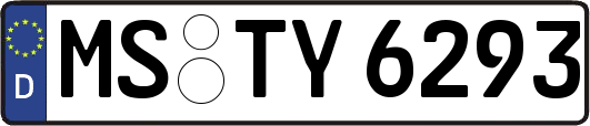 MS-TY6293