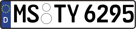 MS-TY6295