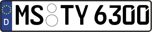 MS-TY6300