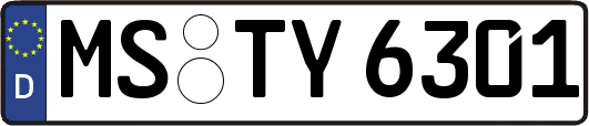 MS-TY6301