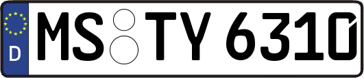 MS-TY6310