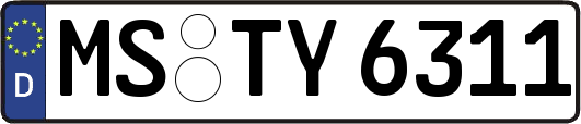 MS-TY6311