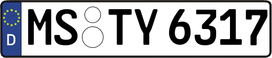 MS-TY6317