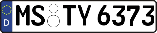 MS-TY6373
