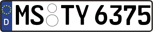 MS-TY6375