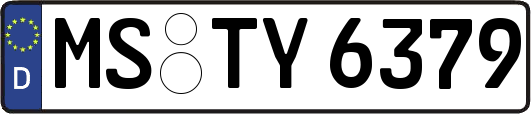 MS-TY6379