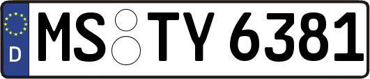 MS-TY6381