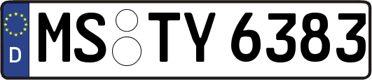 MS-TY6383