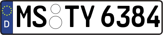 MS-TY6384