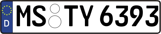 MS-TY6393