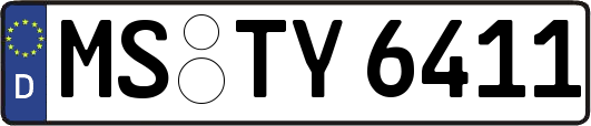 MS-TY6411