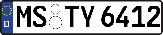 MS-TY6412