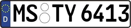 MS-TY6413