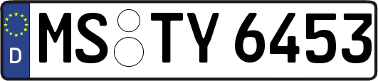 MS-TY6453