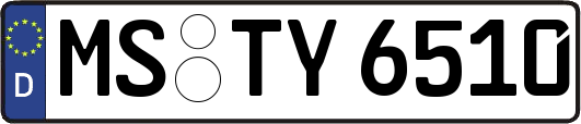 MS-TY6510