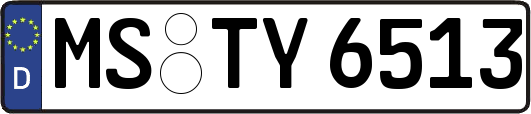 MS-TY6513