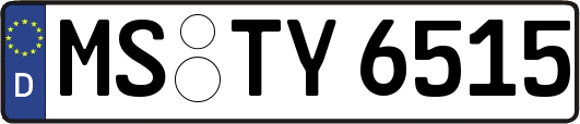 MS-TY6515