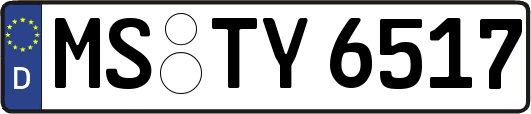 MS-TY6517