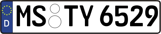MS-TY6529