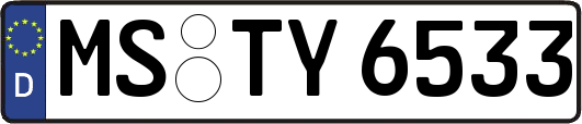 MS-TY6533
