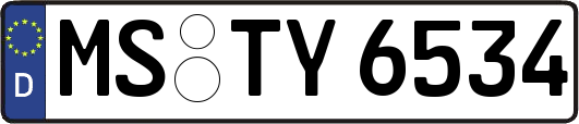 MS-TY6534