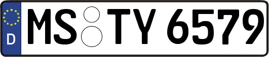 MS-TY6579