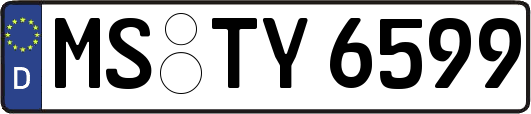 MS-TY6599