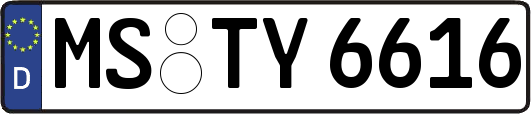 MS-TY6616