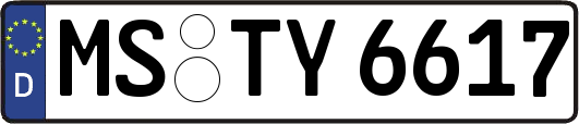 MS-TY6617