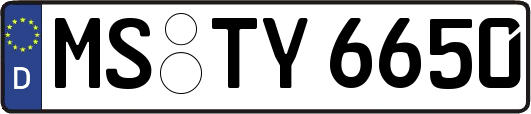 MS-TY6650