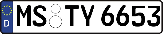 MS-TY6653